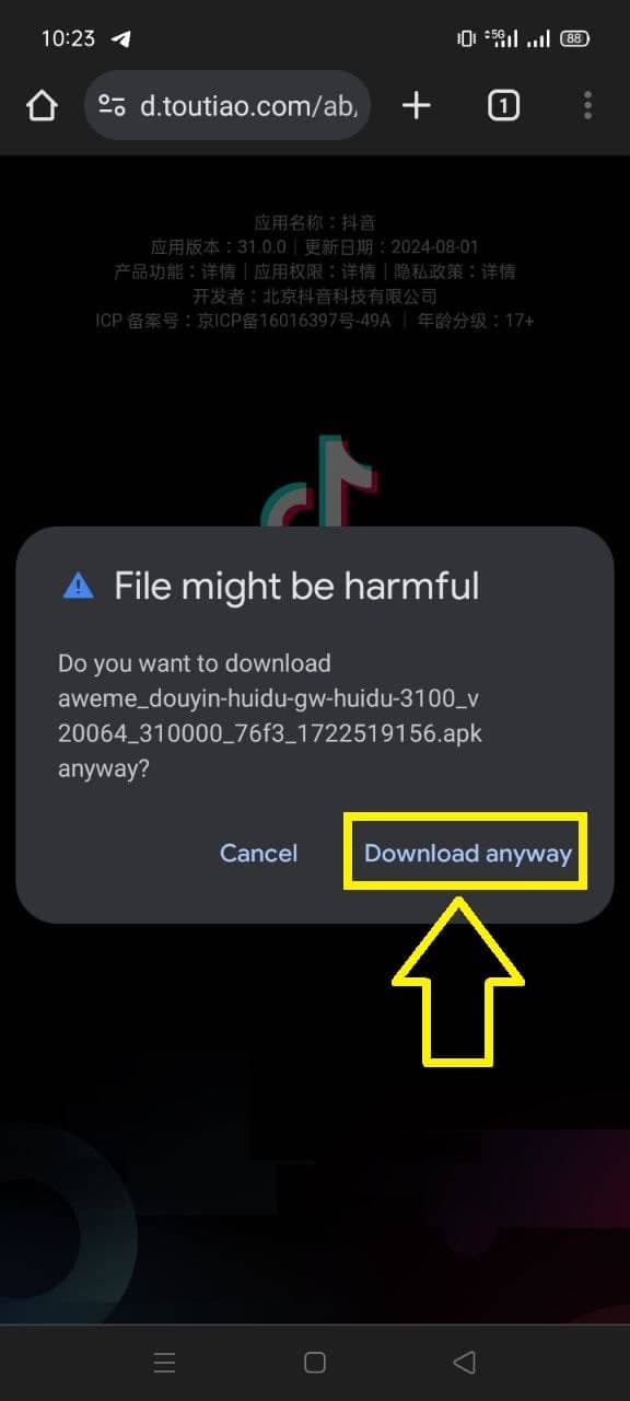 Android install screen for the Douyin APK